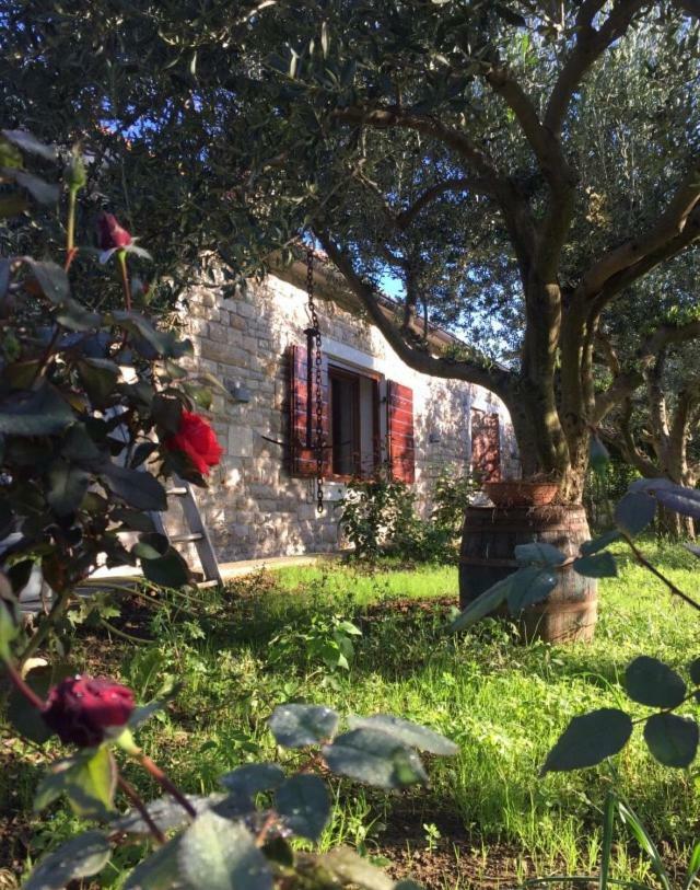 הוילה זאדאר Casa Mala מראה חיצוני תמונה